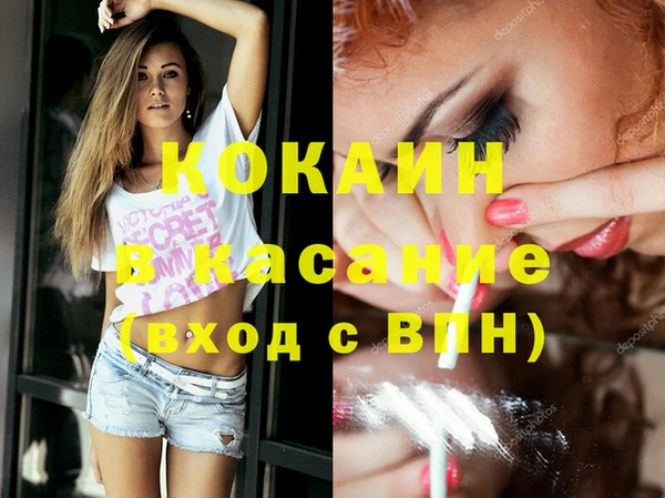 шишки Верея