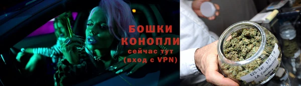 шишки Верея