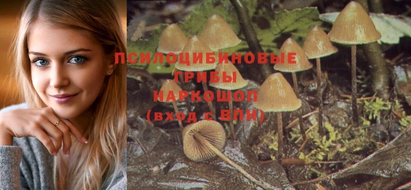 шишки Верея