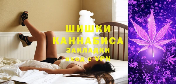 соль ск Верхний Тагил