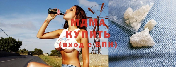 шишки Верея