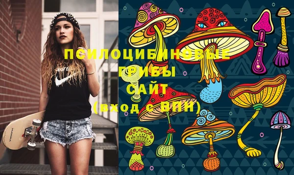 герыч Сясьстрой