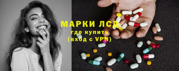 шишки Верея