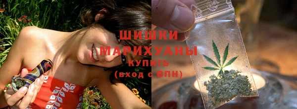 шишки Верея